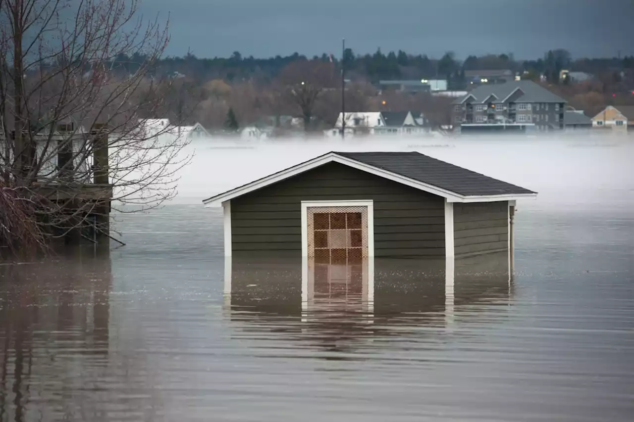 Does 'doom-and-gloom' climate news motivate or paralyze you?