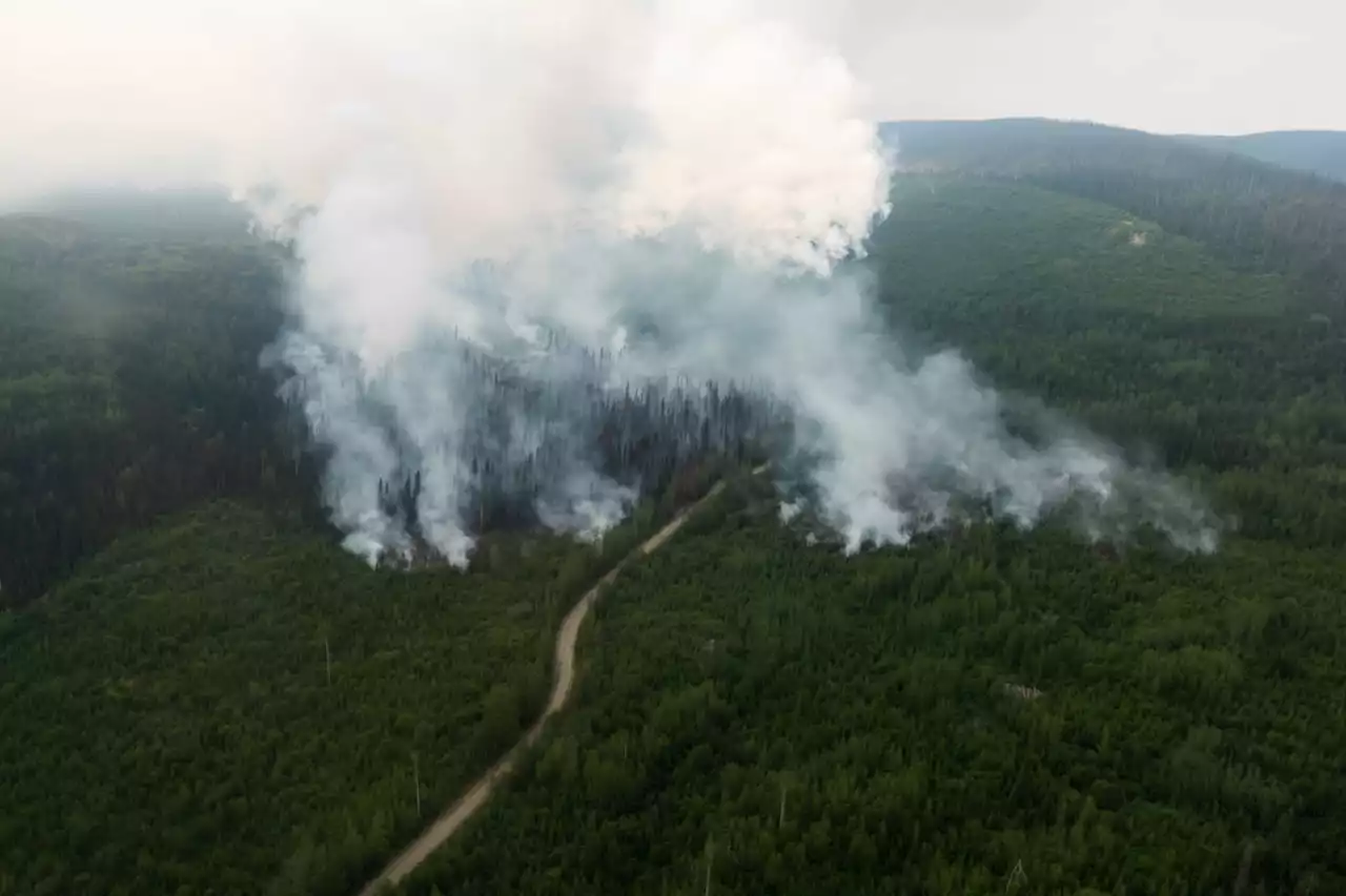 Opinion: Forest management as much to blame as climate change for wildfires