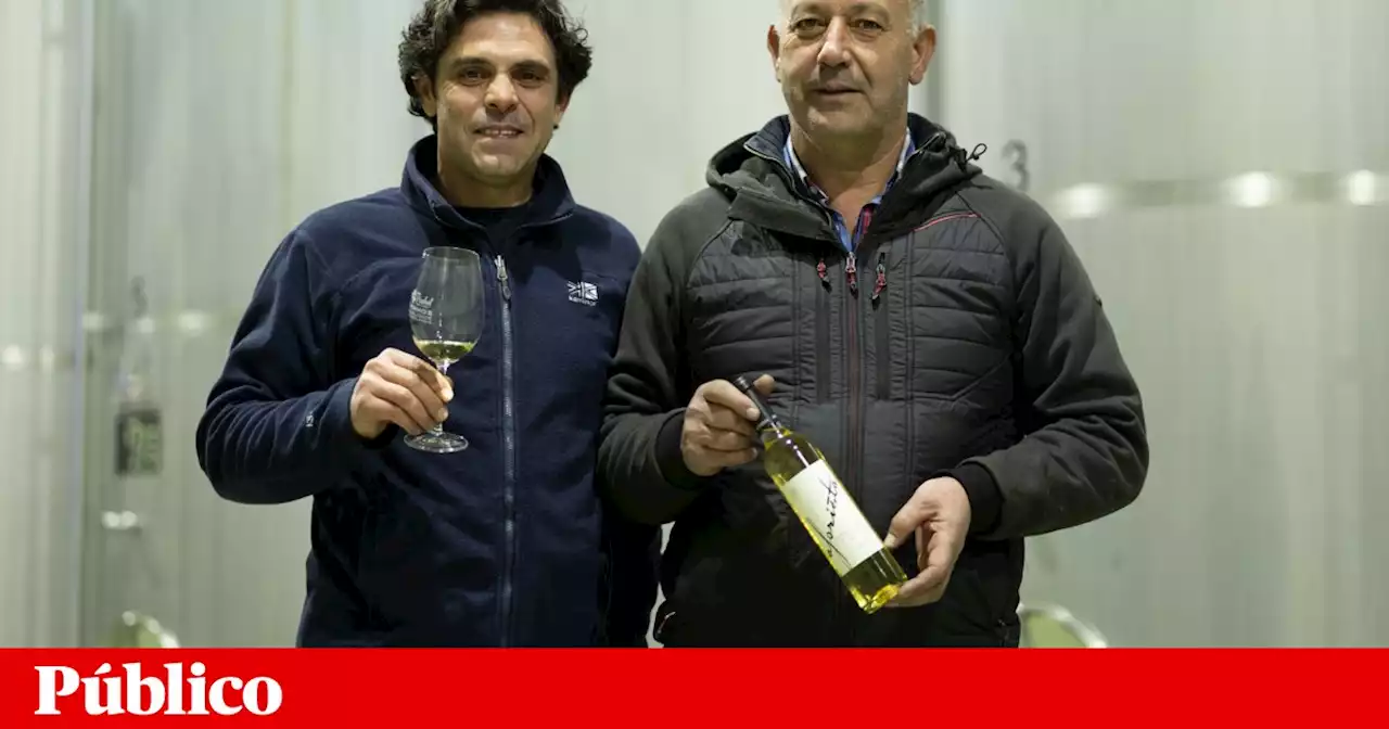 “Projecto familiar de toda a vida” Aforista vence Concurso de Vinhos da Beira Interior