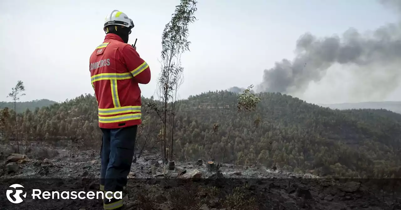 Perigo máximo de incêndio em mais de 50 concelhos - Renascença