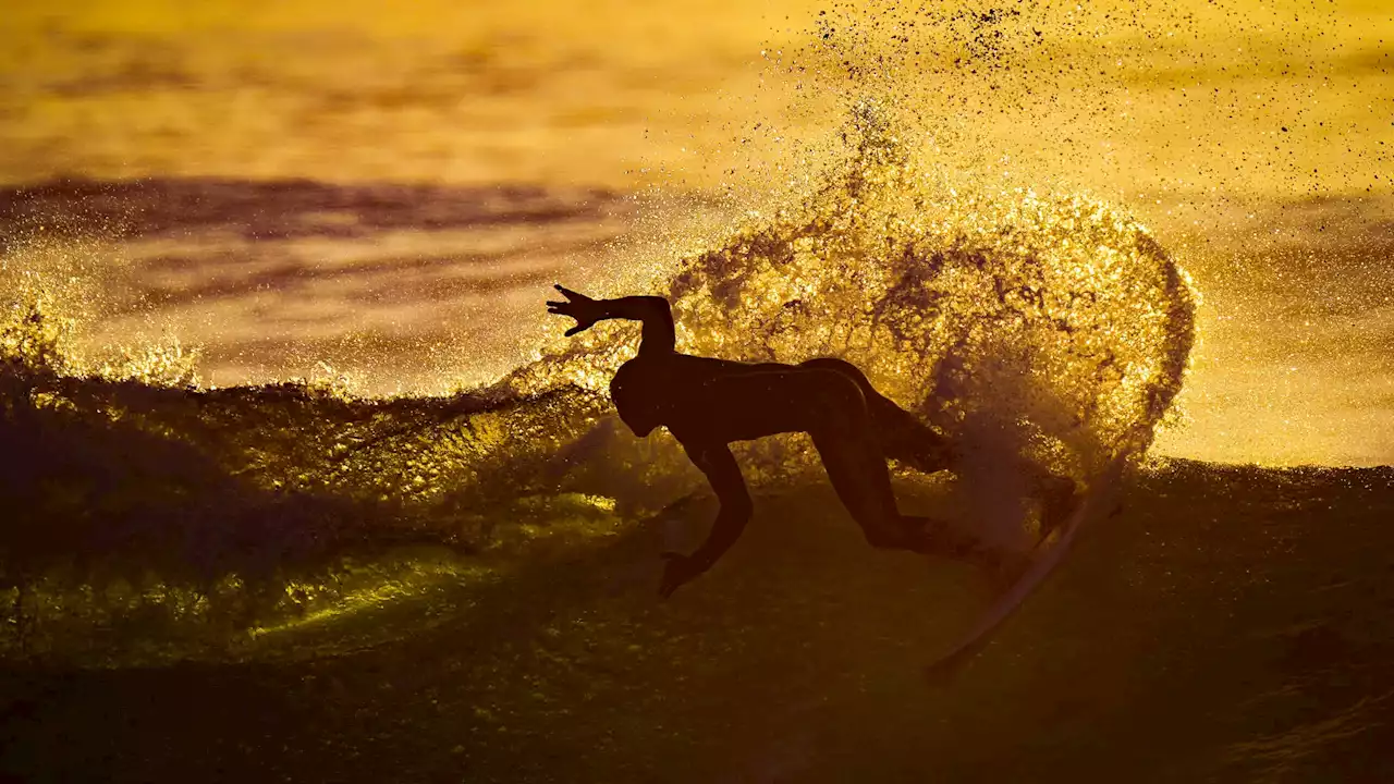 Surf: Mikala Jones meurt après s’être sectionné l’artère fémorale dans un accident en mer