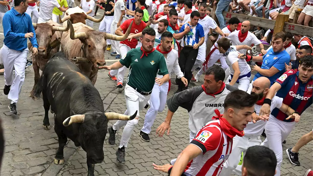 Quinto encierro de San Fermín 2023: veloz y emocionante