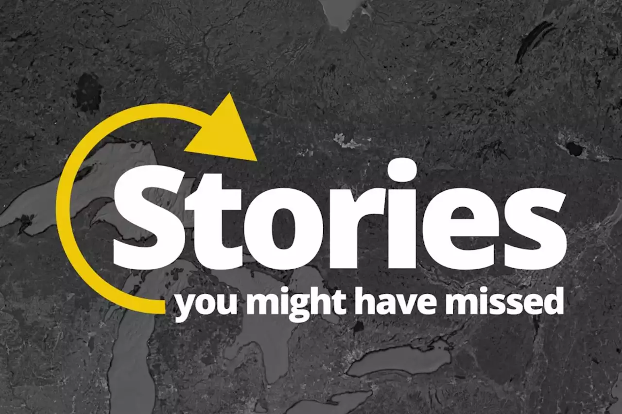 WATCH: Sault stories you need to see