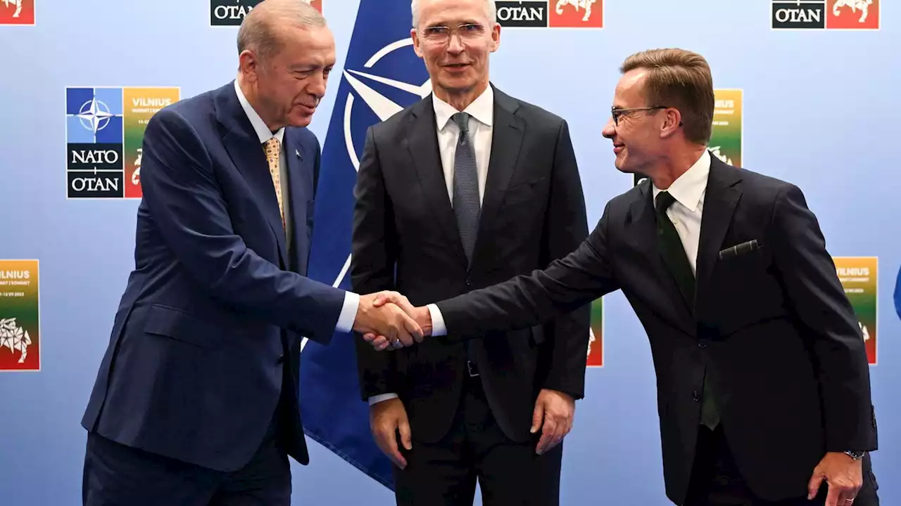 Ein gutes Geschäft – was Erdogan für seine Zustimmung zum schwedischen Nato-Beitritt erwarten dürfte (stern+)