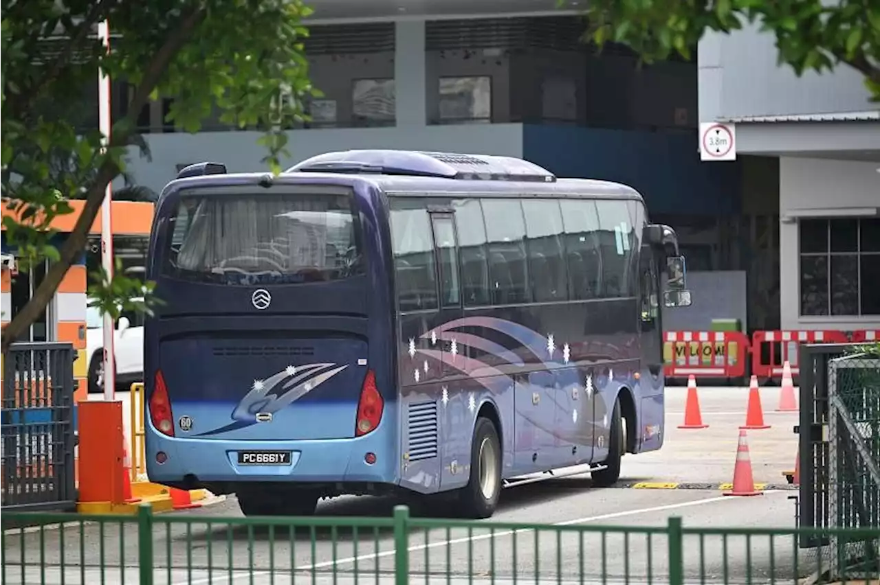 6 school bus operators get green light to hire more foreign workers