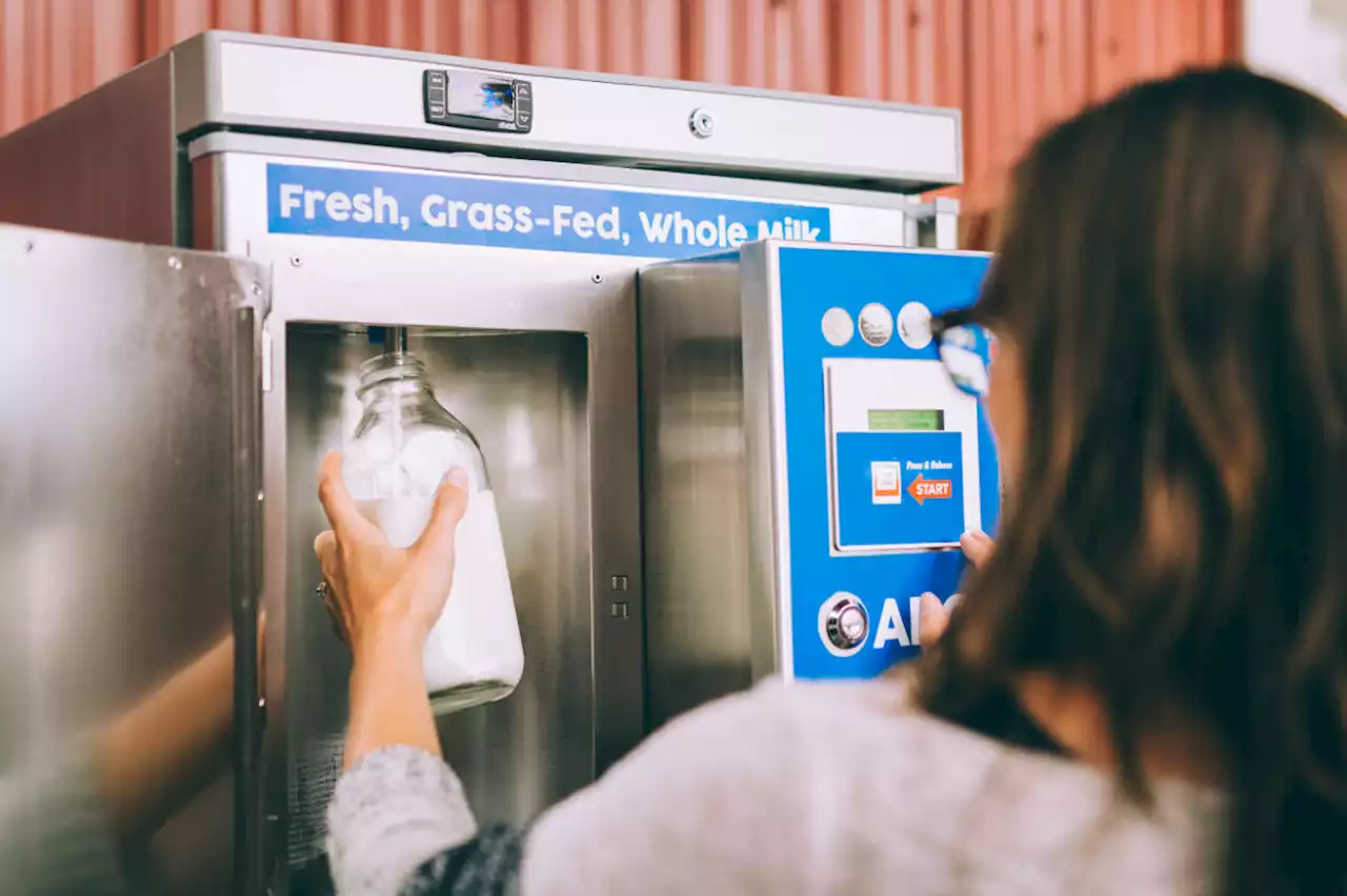 Milk on tap dispenser from Vancouver Island believed to be Canada’s first - Terrace Standard