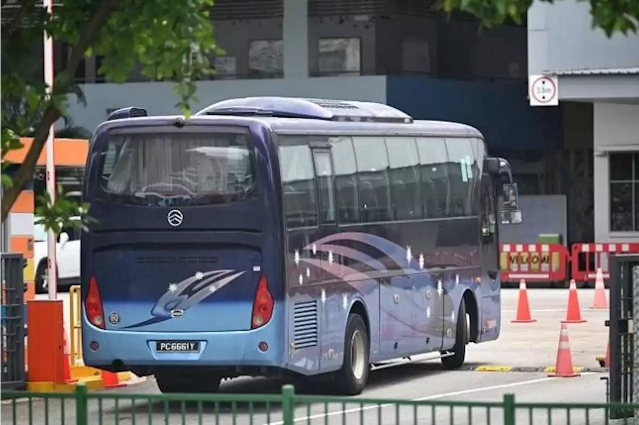 6 school bus operators get green light to hire more foreign workers