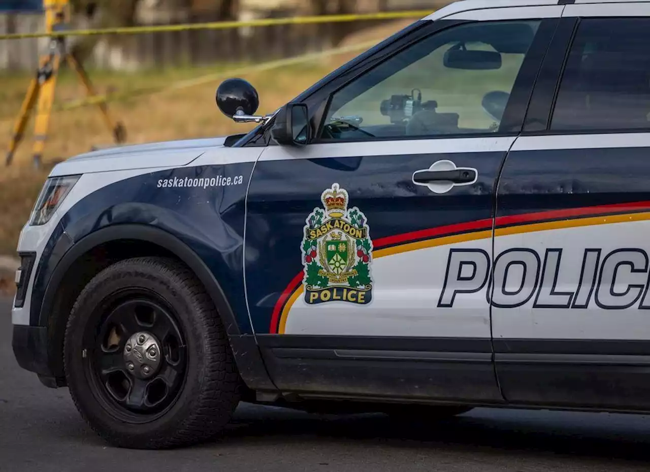 Saskatoon police shoot tires to stop car that allegedly struck officer