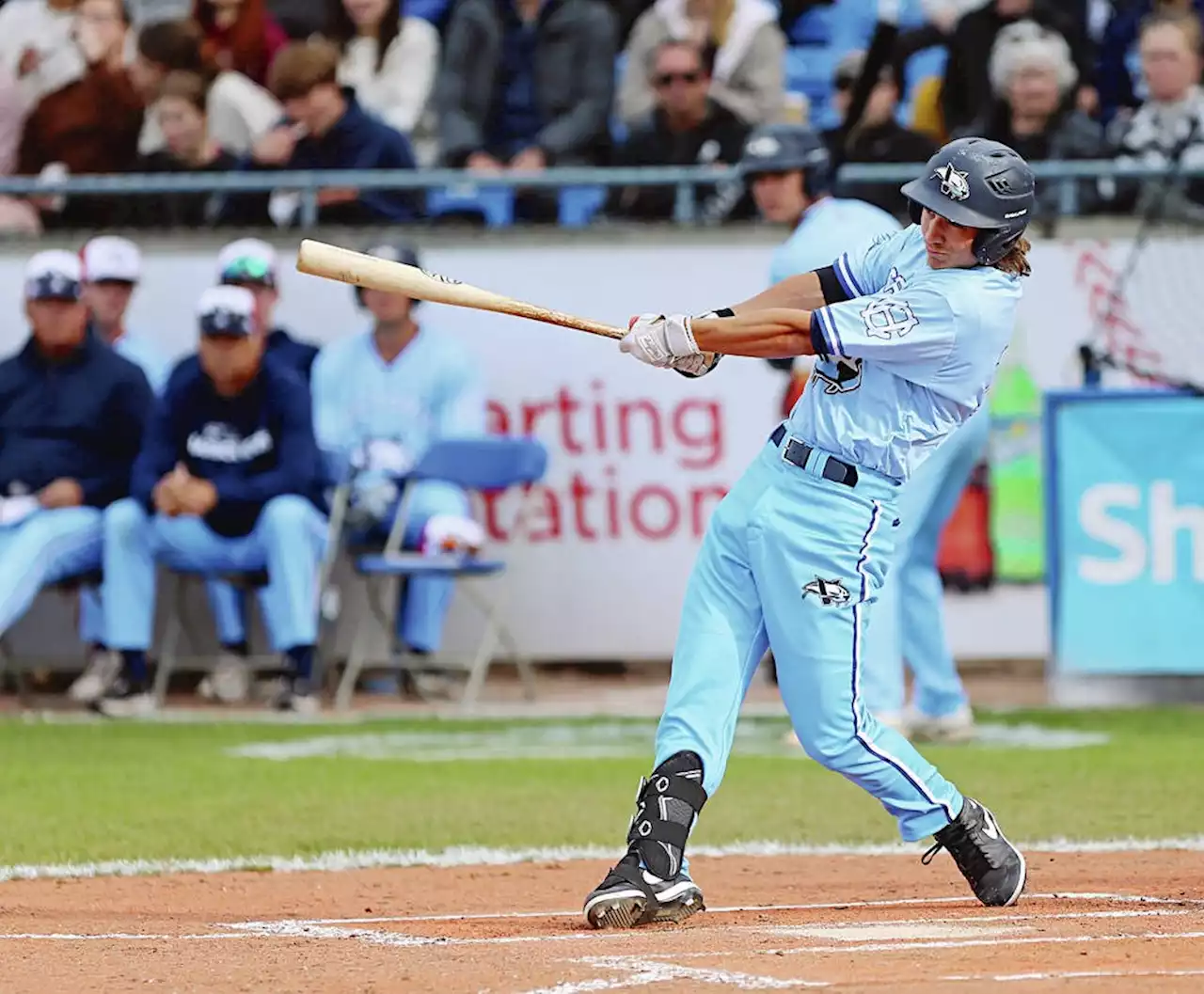 HarbourCats set to face Lefties in WCL series