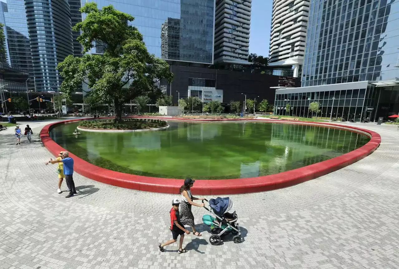 Toronto’s Love Park has only been open for two weeks. Why is its pond already an icky green?