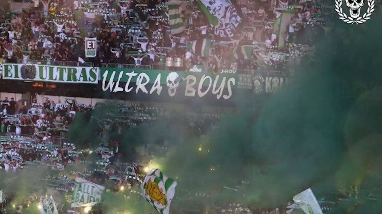 Profil Hammarby IF, Klub Swedia yang Ngebet Beli Shayne Pattynama Dikenal Punya Ultras yang Berisik - Tribunnews.com