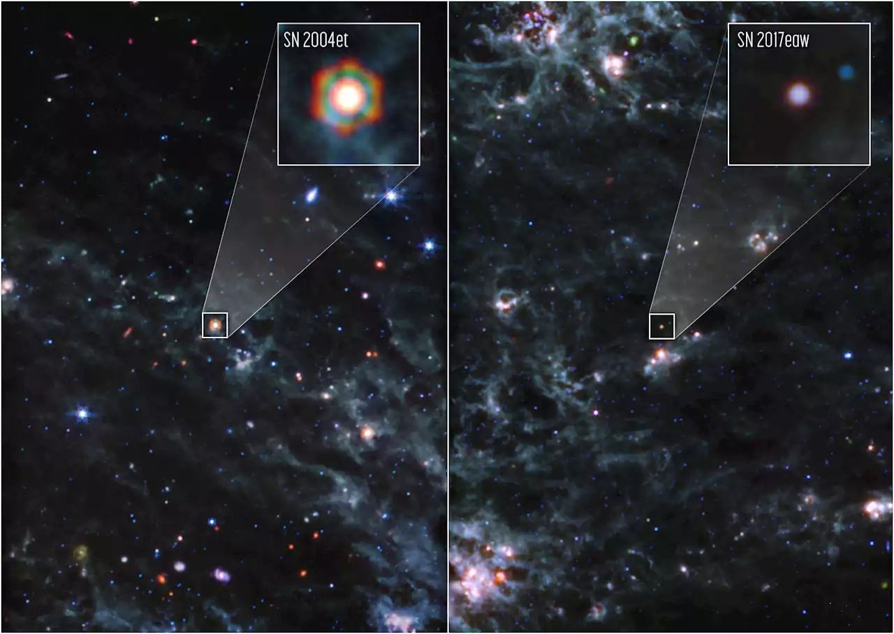 Supernovae are the Source of Dust in Early Galaxies