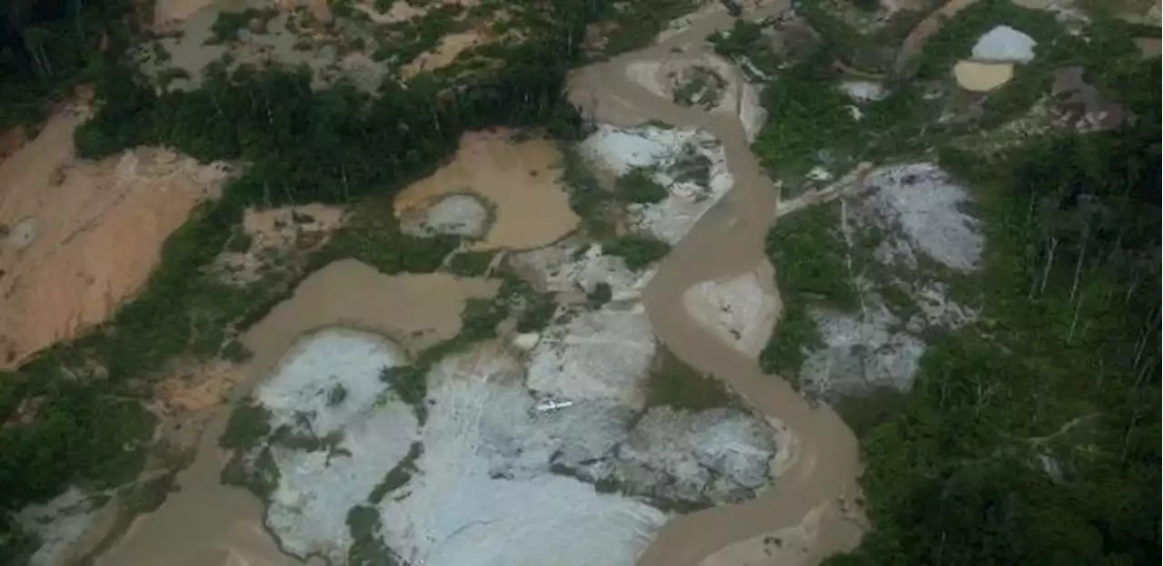 Chuva, floresta e esconderijos dificultam combate ao garimpo ilegal em RR