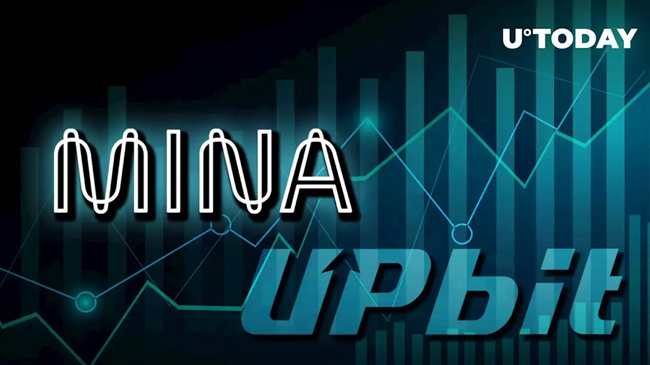 MINA Surges 17% as BTC/MINA Pair Listed by Largest Korean Exchange