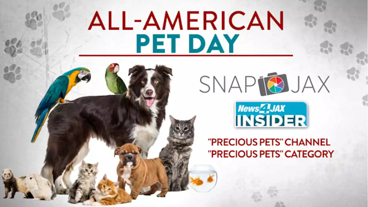 Show us your cute critter on All-American Pet Day