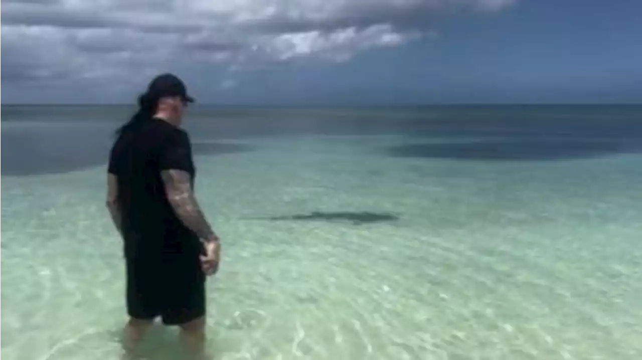 WWE legend ‘The Undertaker’ stares down shark to scare it away from Palatka-born wife