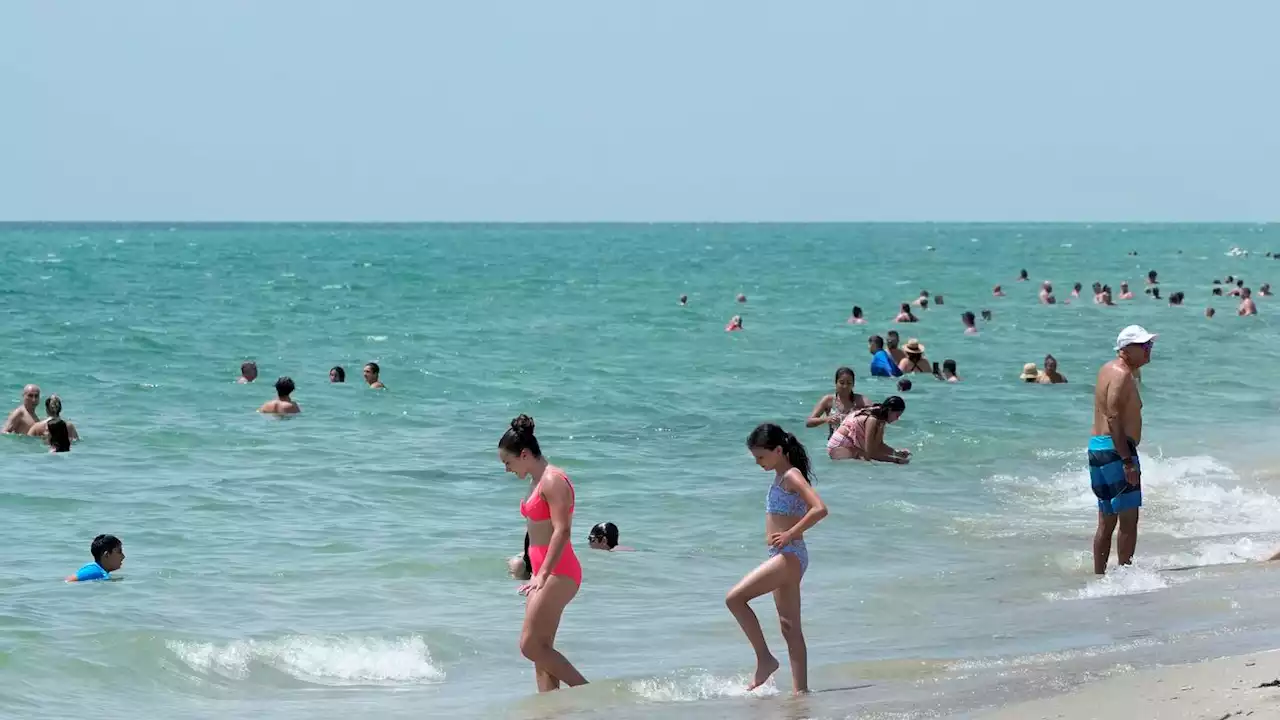 Florida in hot water as ocean temperatures rise along with the humidity