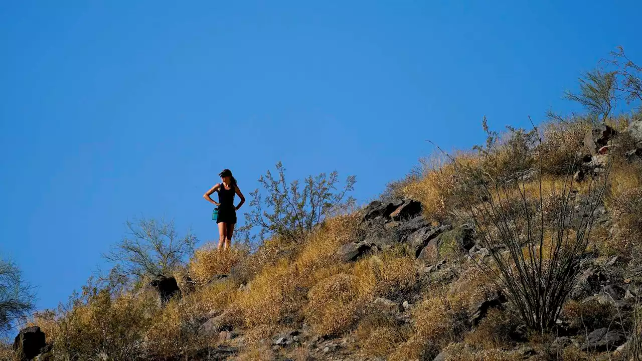 How extreme heat takes a toll on the mind and body, according to experts