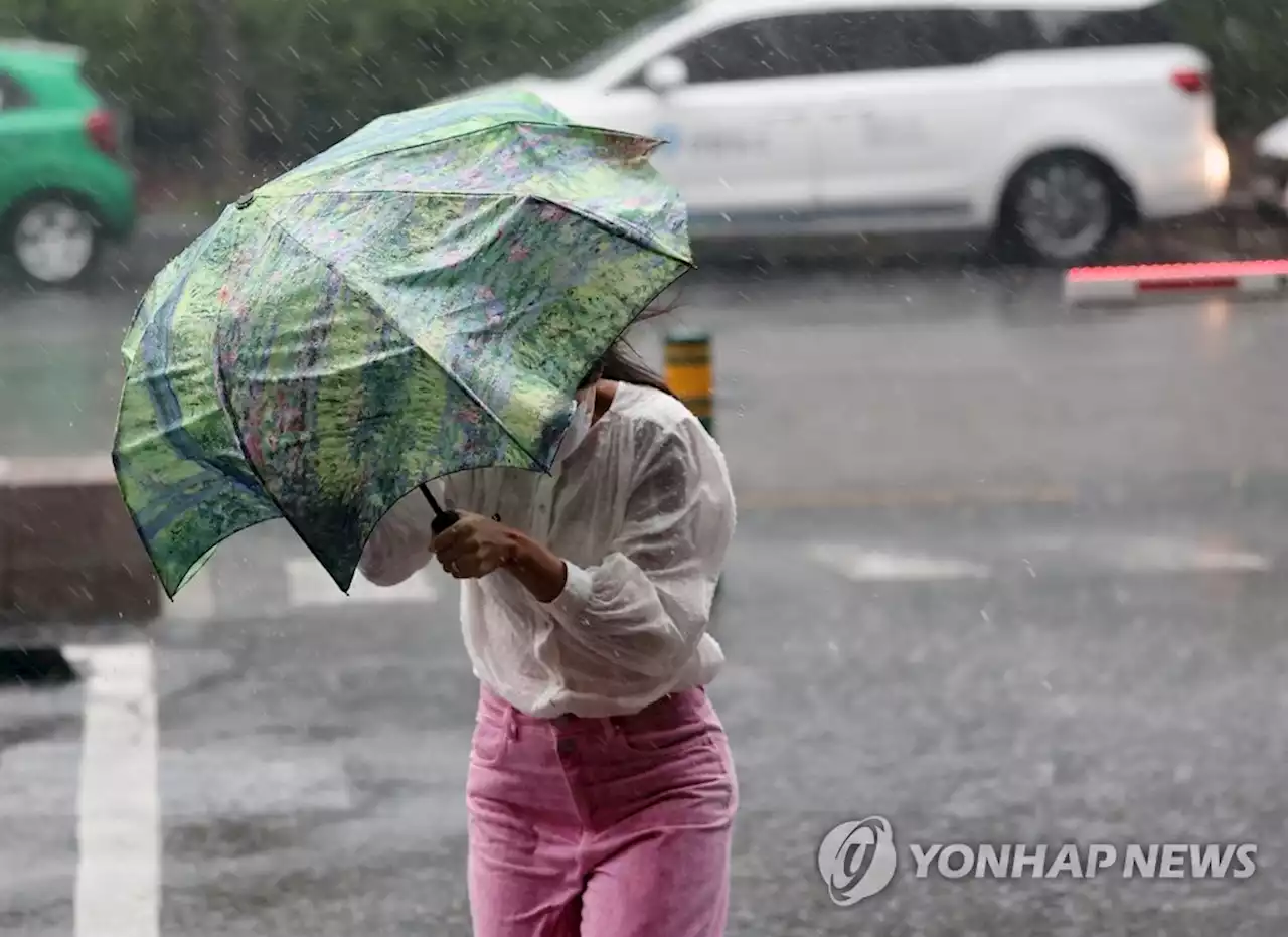 부산에 시간당 60㎜ 장대비…1명 실종 수색, 도로 등 20곳 통제(종합2보) | 연합뉴스