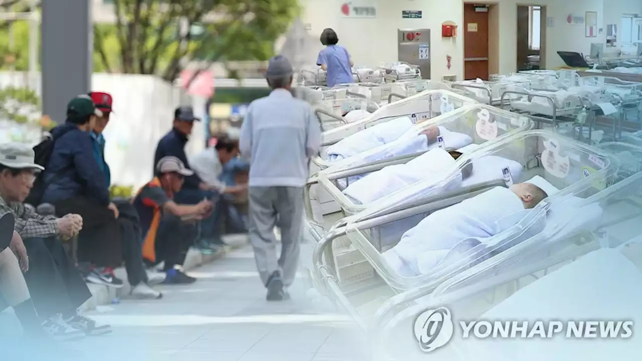 25∼49세 남성 47%·여성 33%는 미혼…혼외자 출생 7천700명 | 연합뉴스