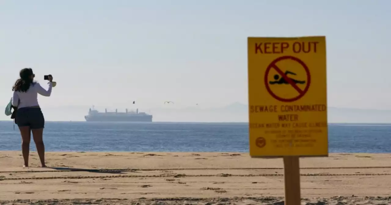 Over half of US beaches have potentially unsafe levels of fecal matter