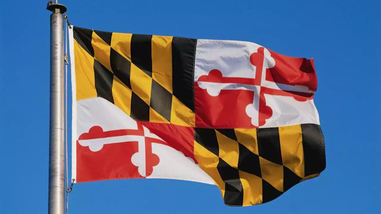 Civil rights activists unanimously vote to present reparations resolution to Maryland officials