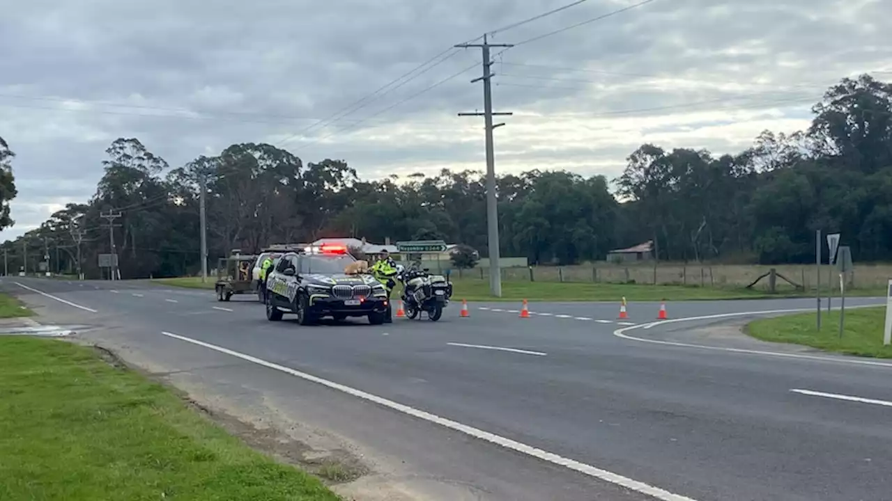 Ute driver dies after collision with semitrailer, Victorian highway shut down