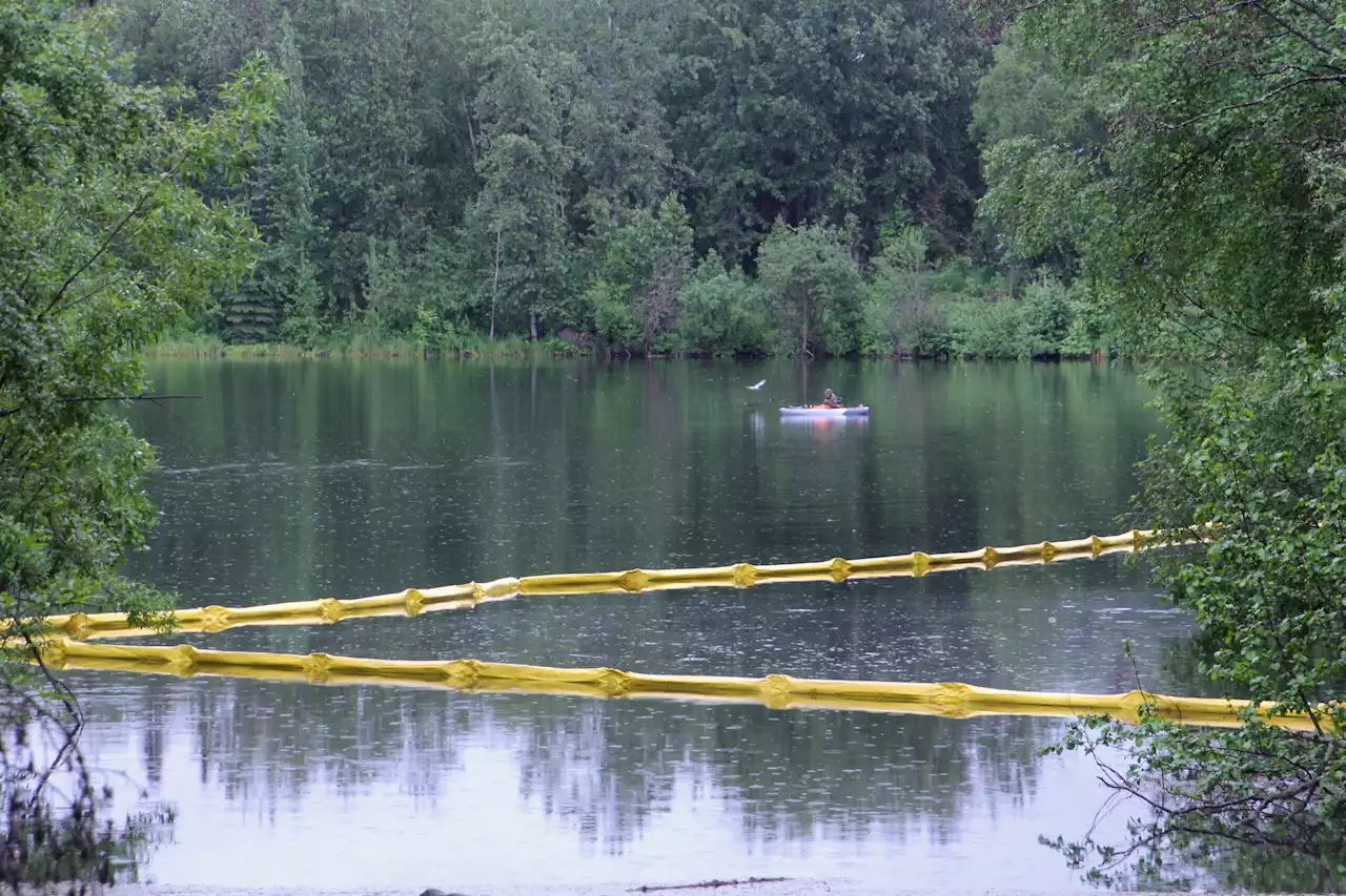 Anchorage’s University Lake reopens after oil spill