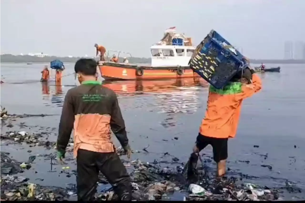 Sejumlah pihak lanjut bersihkan sampah di Hutan Mangrove Angke, Kamis