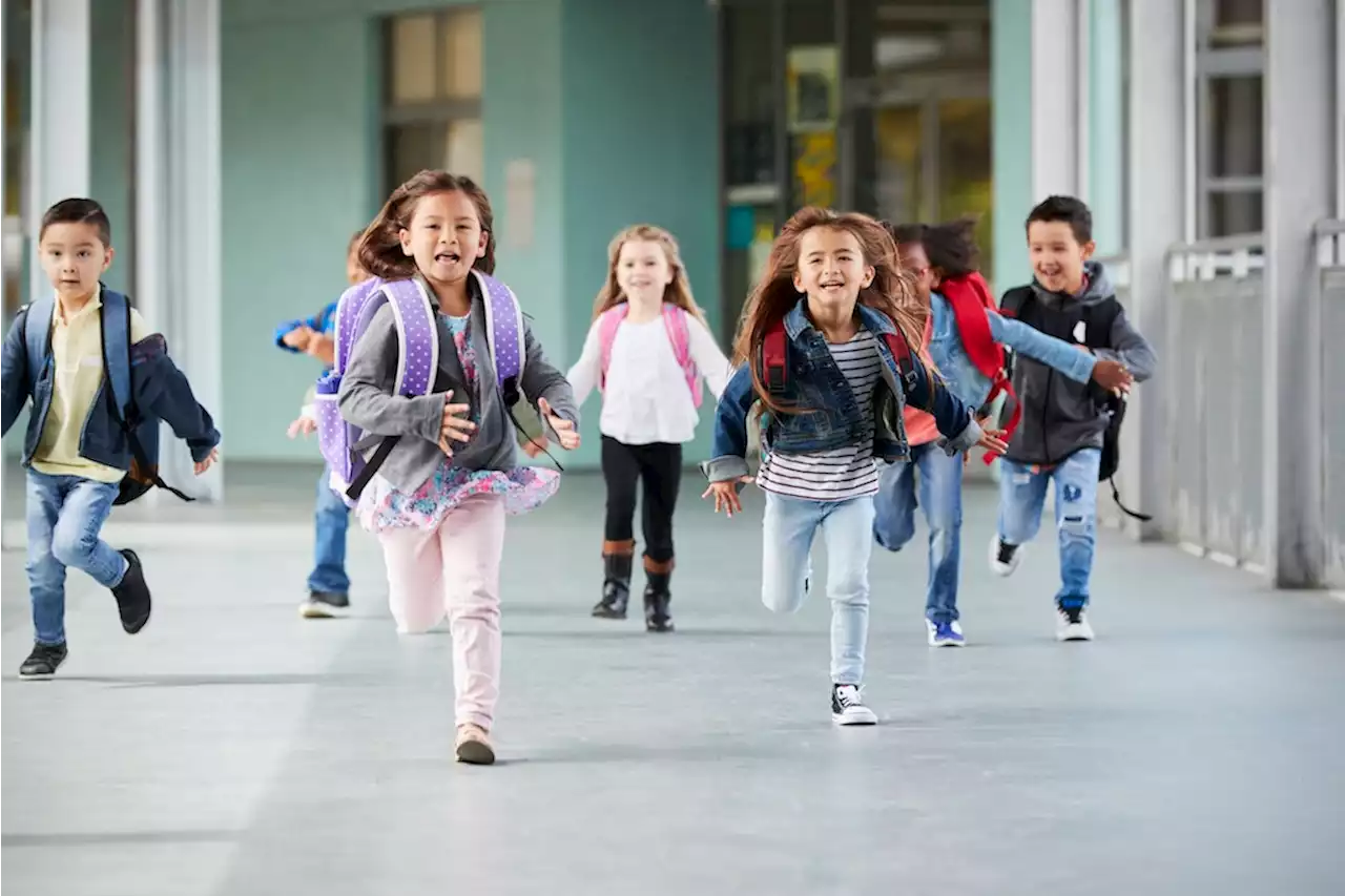 Berlin: Heute ist letzter Schultag – Hilfe bei Zeugnissorgen und Tipps für die Ferien