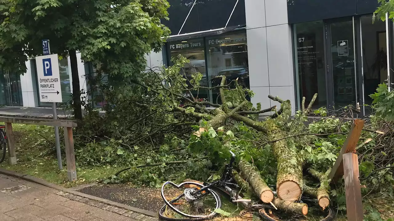 Chaos an der Säbener Straße: Sturm-Alarm bei den Bayern