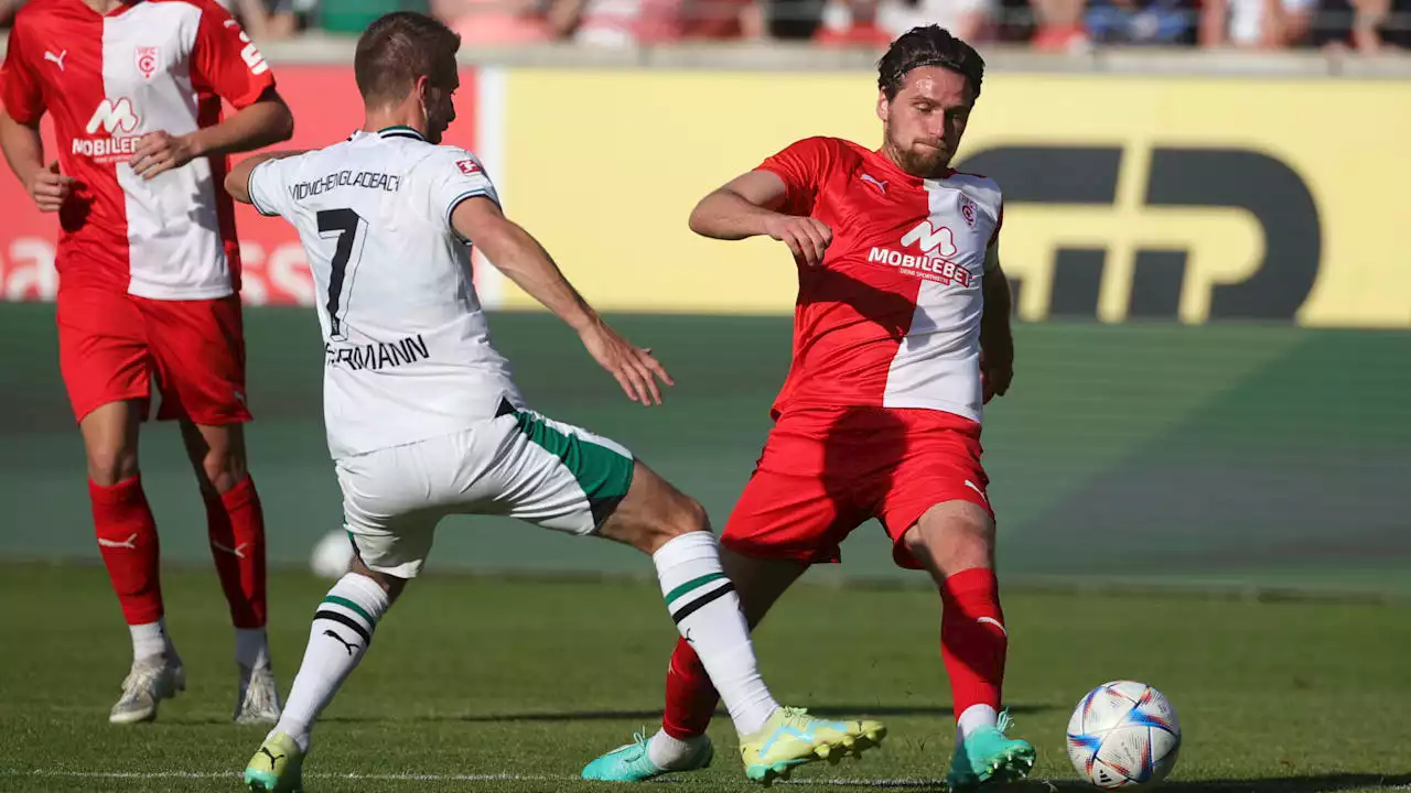 Hallescher FC: Nach dem Umbruch! Wie Nietfeld über den HFC-Kader denkt