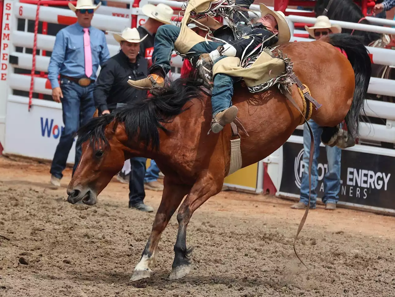 Bareback star Tanner Aus showing veteran savvy at Stampede