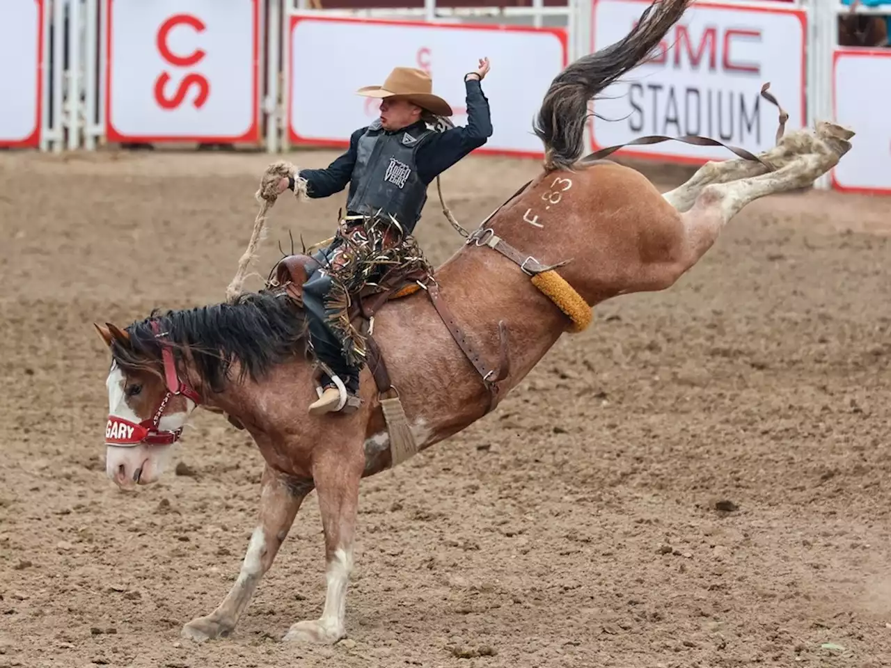 RODEO NOTES: Hay brothers shake off serious injuries to shoot for Stampede titles