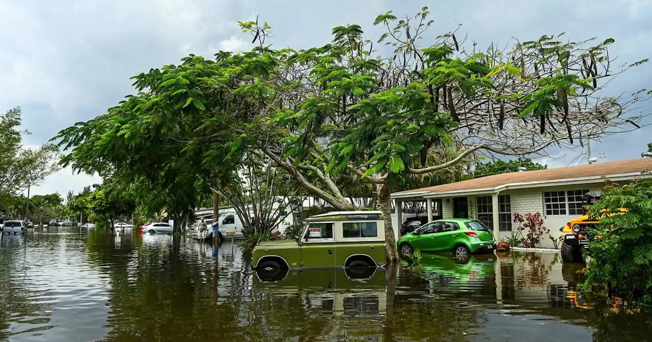 Farmers Insurance pulls out of Florida, affecting 100,000 policies