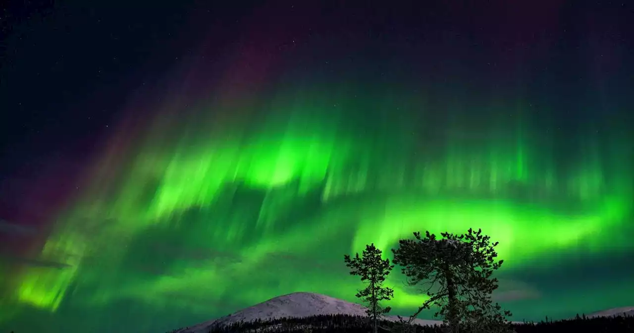 The northern lights could be visible in several states this week. Here's where you might see them.