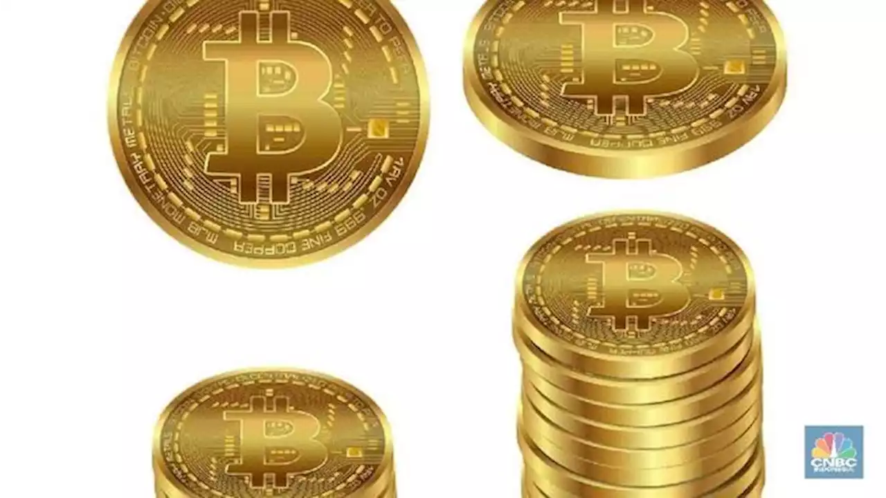 7 Aset Kripto Gak Bergerak, Bitcoin Jadi Naik 4 Kali Lipat?