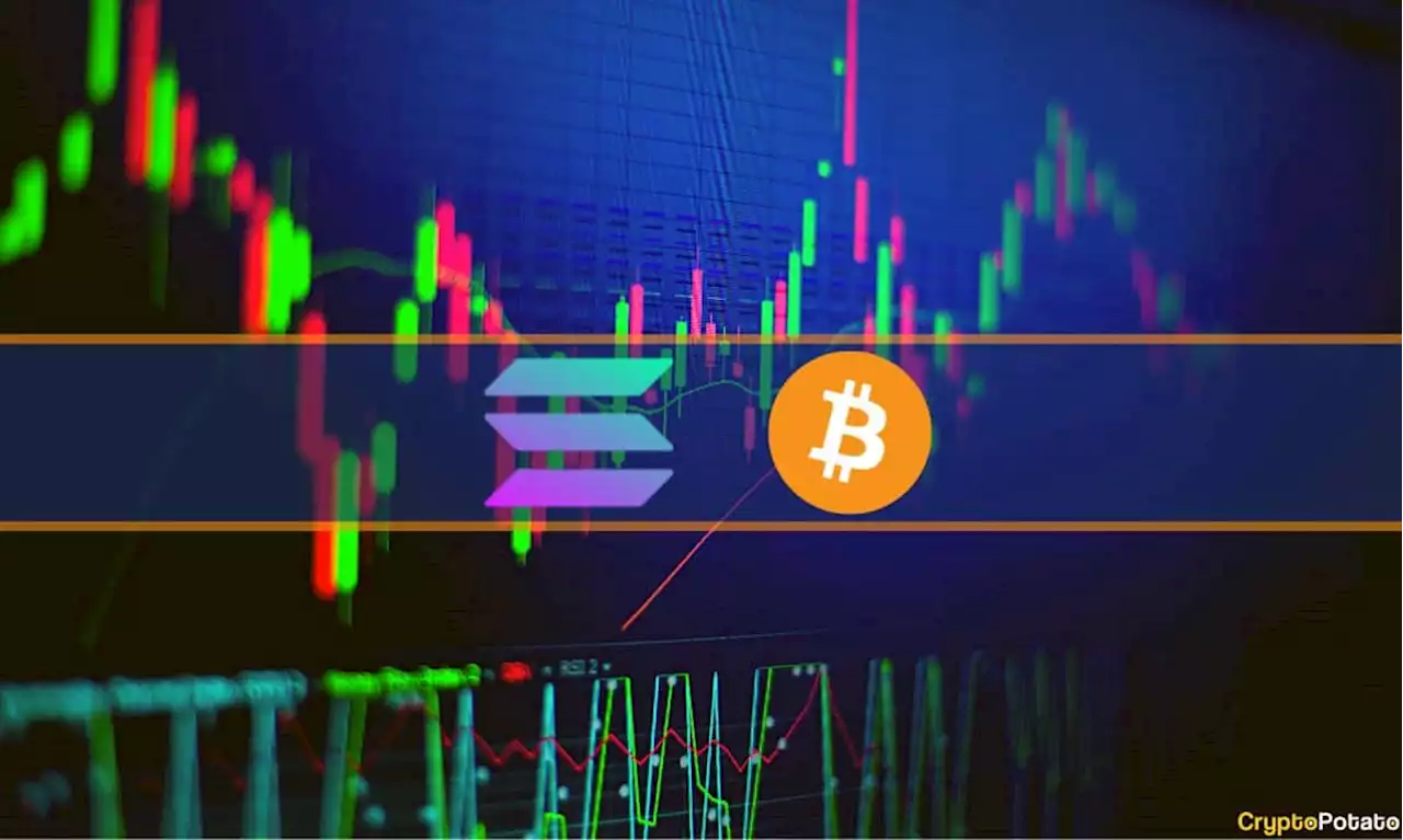 SOL Re-enters Top 10 After 15% Weekly Surge, BTC Sits Below $31K (Market Watch)