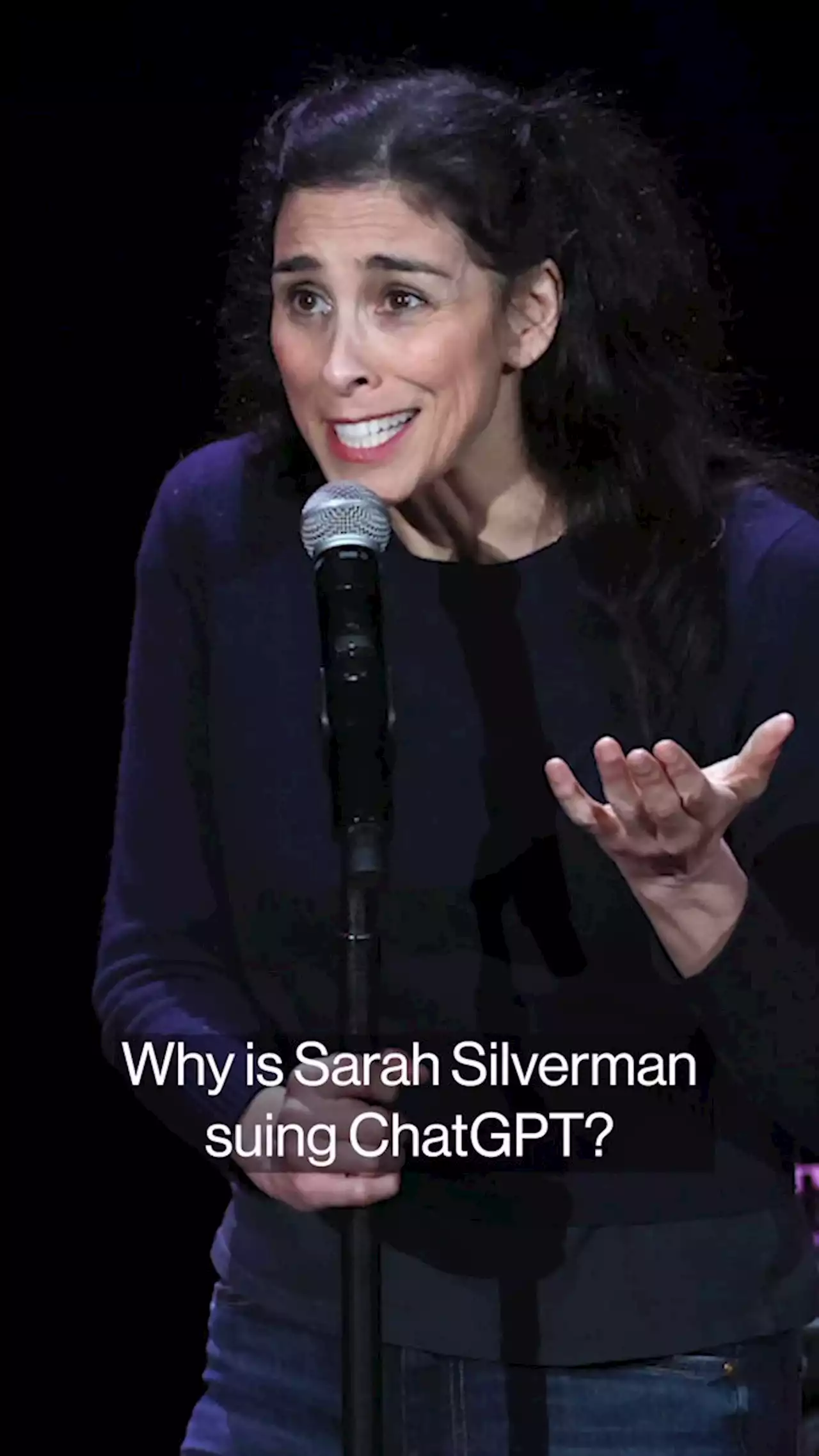 Sarah Silverman, Authors Hit OpenAI, Meta With Copyright Suits