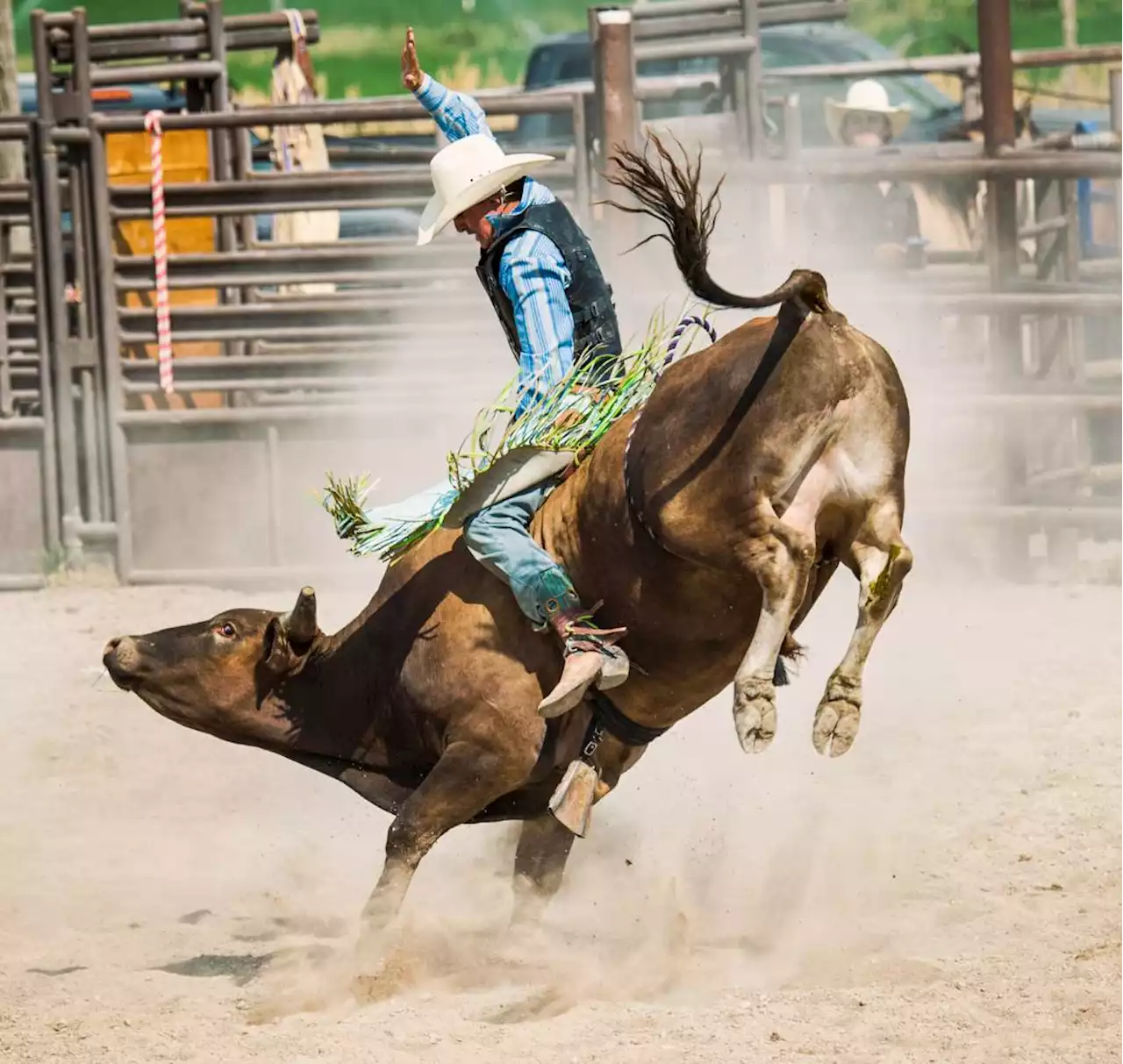 'It's kind of a pig deal': Lake County Fair starts 5-day run July 26