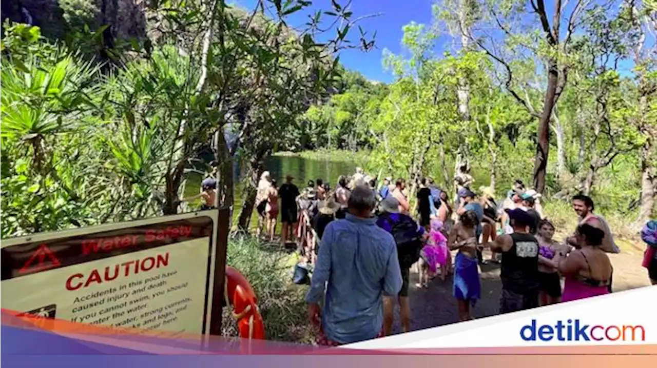 Asyik Mandi di Air Terjun Wangi, Buaya Mendadak Muncul-Serang Turis