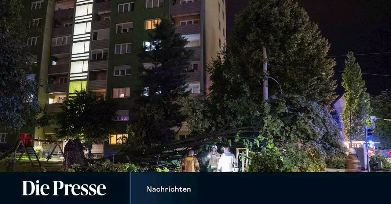 Gewitter, Orkanböen, Starkregen: Unwetter fordern Feuerwehren in...