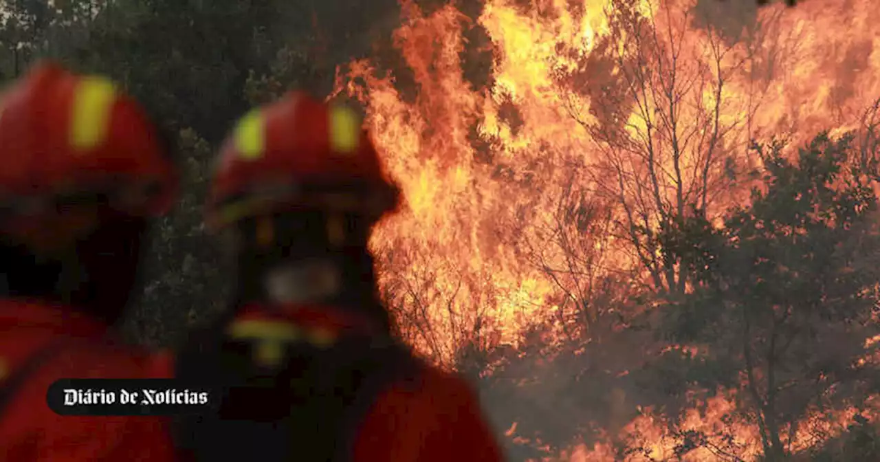 Linha ferroviária do Sul e EN267 cortadas devido a incêndio no Algarve