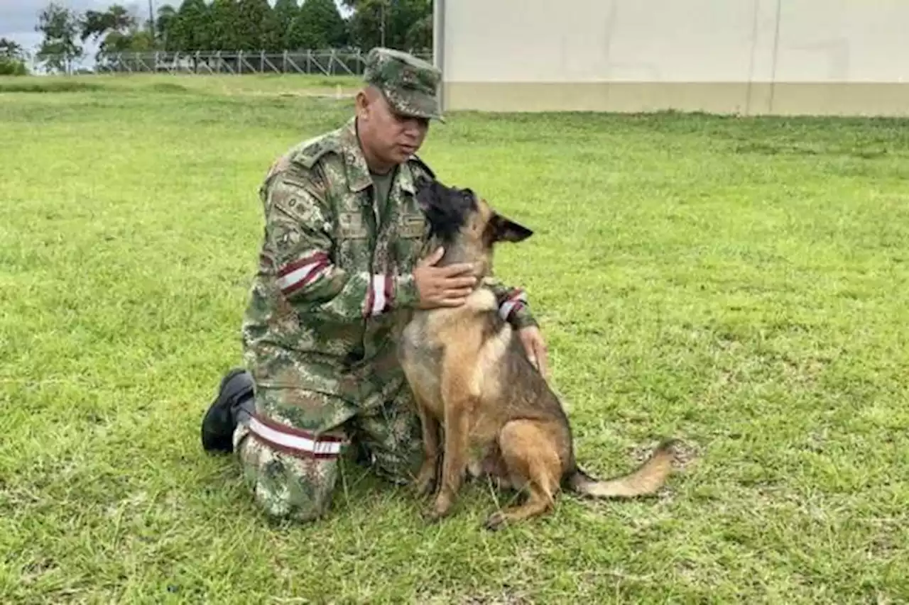 Universidad Santiago de Cali inaugurará clínica veterinaria con homenaje al perro Wilson