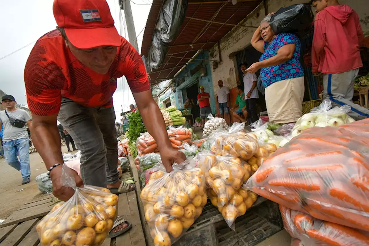 Informalidad se reduce en Barranquilla y se sitúa en 56,6 %