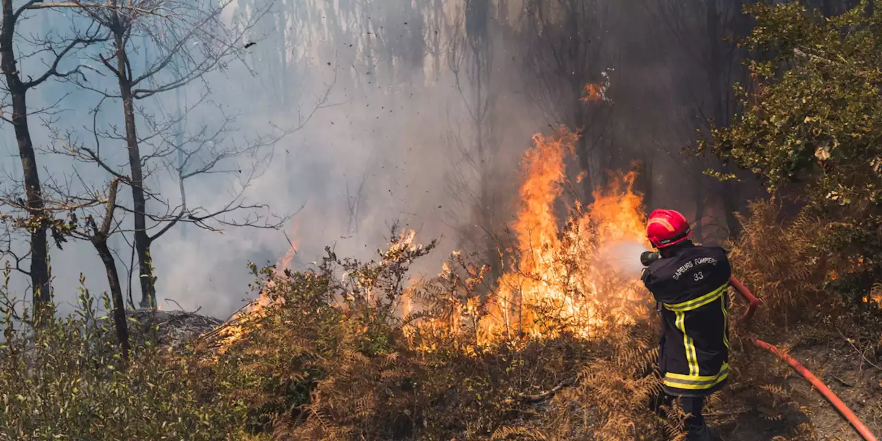 Incendies en Gironde : un an après, les moyens ont-ils changé ?