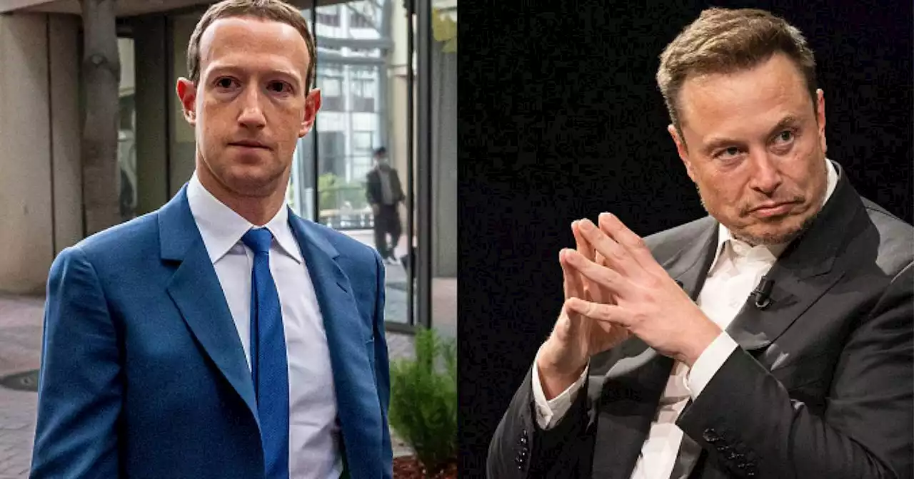 ¿Se lo van a medir? La verdad detrás del reto de Elon Musk a Mark Zuckerberg