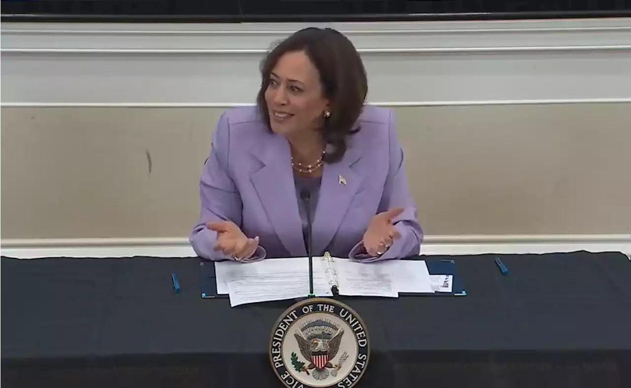 Kamala Harris ridiculed for 'nonsense' comments at transportation roundtable: 'She can’t be serious'