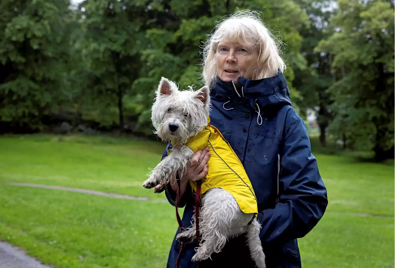 Här är Göteborgs vanligaste hundnamn