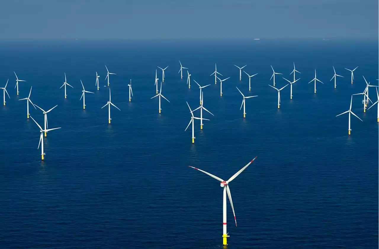 Windkraft: Erste Auktion um Offshore-Flächen bringt Milliardenerlös